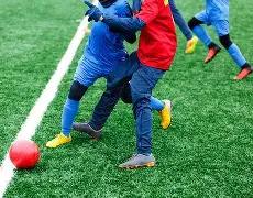 双色球,独家预测,精准杀号技,广东体彩网,体育彩票,体彩网,中国体彩网,中彩网