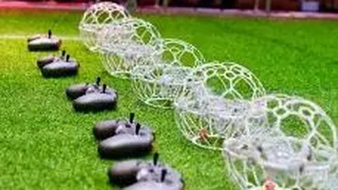 【幸运彩星闪耀】第2026002期双色球预测揭秘：红球精准杀号来袭，资深彩神独家攻略！