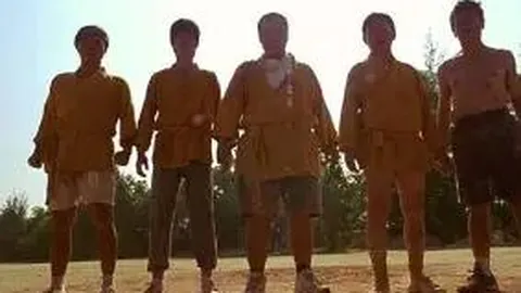 【惊喜揭晓】老二婶独家揭秘：2026年大乐透016期后区绝杀三胆，锁定05、07、08！