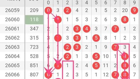 第2026101期 大乐透2026101期专家质合分析推荐，